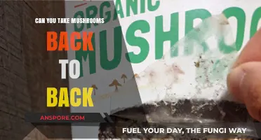 Back-to-Back Mushroom Use: Risks, Effects, and Safety Considerations