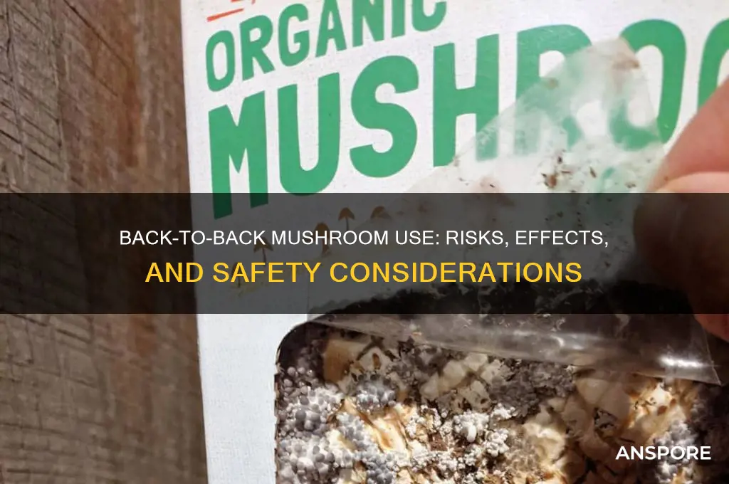 can you take mushrooms back to back