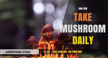Daily Mushroom Use: Benefits, Risks, and What You Need to Know