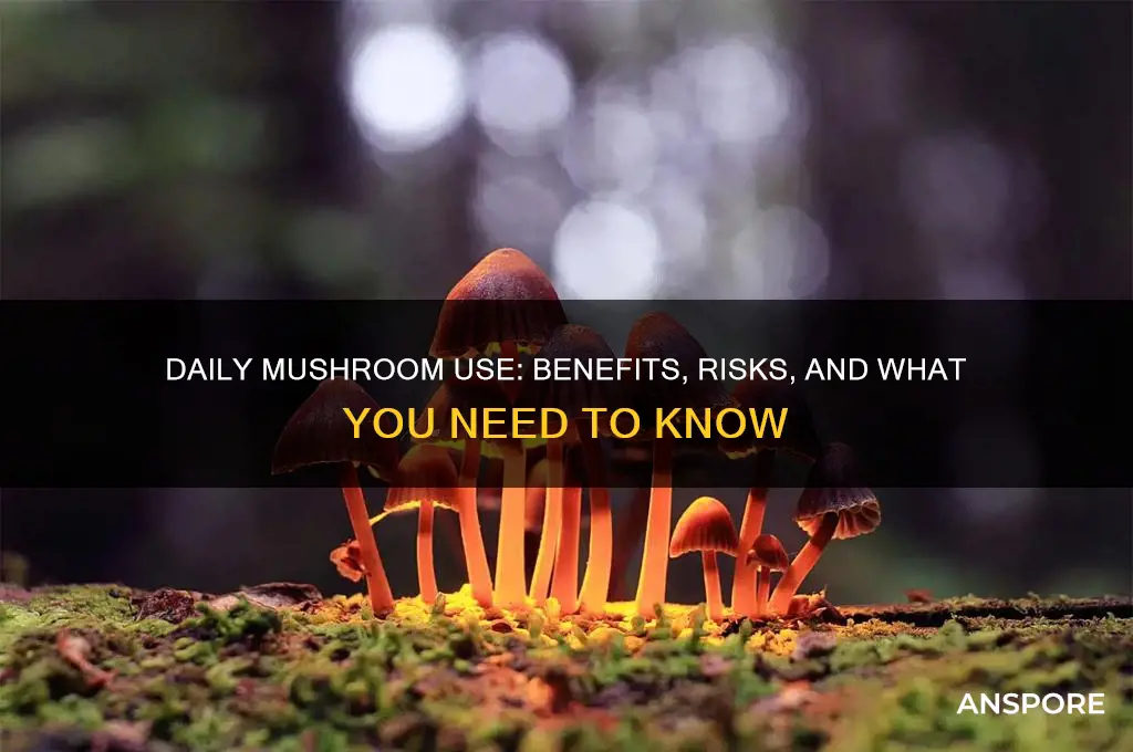 can you take mushrooms daily