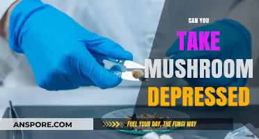Exploring Psilocybin Mushrooms as a Potential Treatment for Depression
