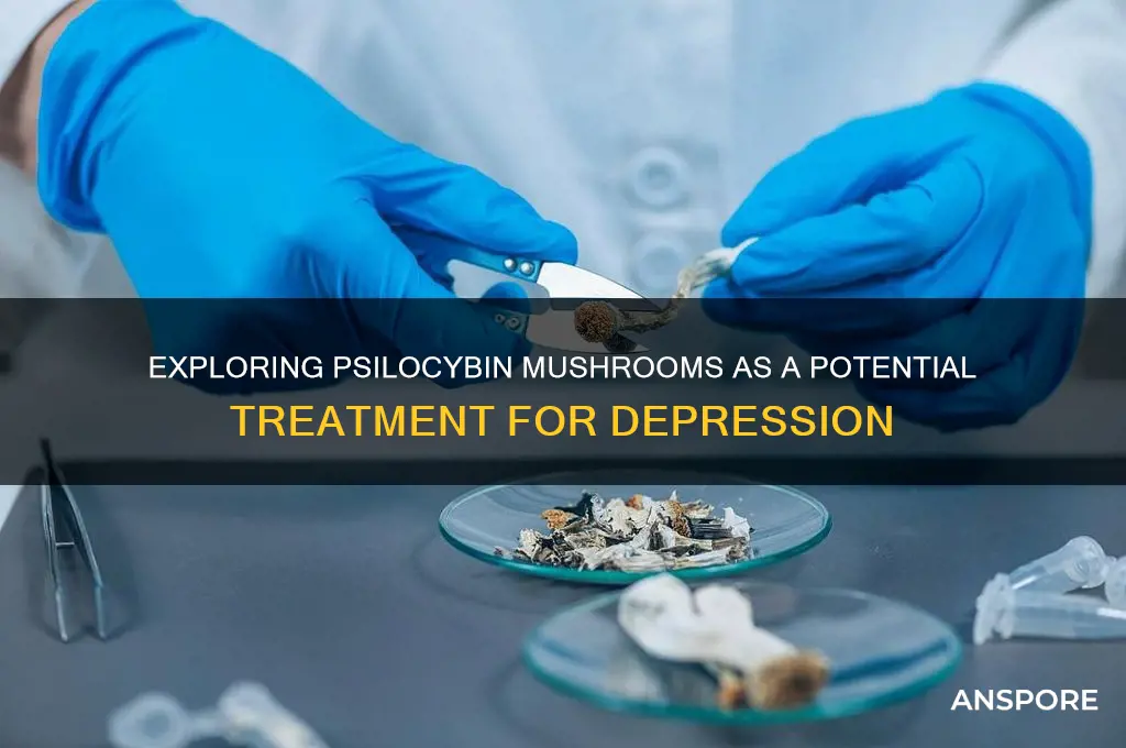 can you take mushrooms depressed