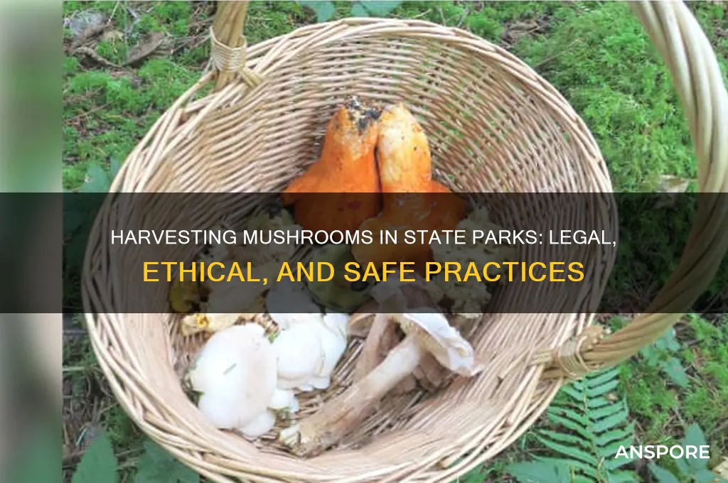 can you take mushrooms from a state park