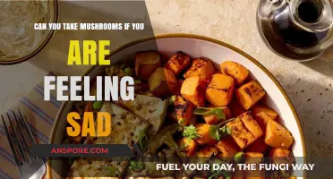 Mushrooms for Melancholy: Can Fungi Lift Your Mood When You're Sad?