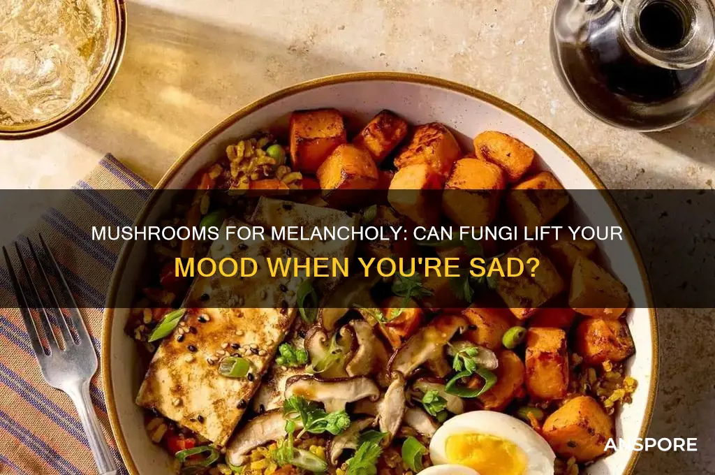can you take mushrooms if you are feeling sad