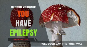 Mushrooms and Epilepsy: Safe or Risky for Seizure Management?