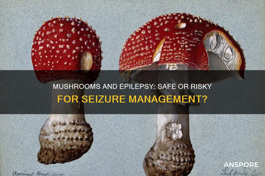 can you take mushrooms if you have epilepsy