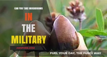 Mushrooms in the Military: Legal, Safe, or Career-Ending Choice?
