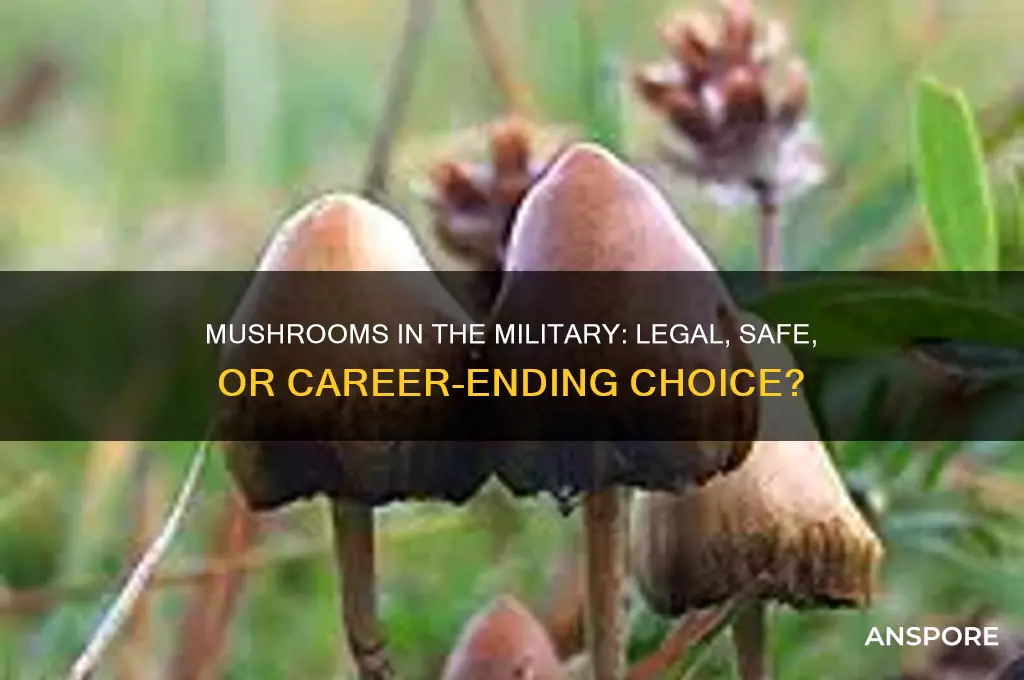 can you take mushrooms in the military