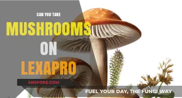 Mushrooms and Lexapro: Safe Combination or Risky Interaction?