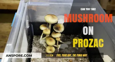 Mushrooms and Prozac: Exploring the Risks and Interactions Safely
