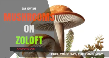 Mushrooms and Zoloft: Potential Risks and Interactions Explained