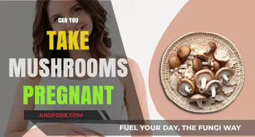 Pregnancy and Mushrooms: Safety Concerns and Risks Explained