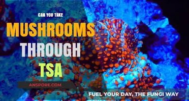 Traveling with Mushrooms: TSA Rules and What You Need to Know