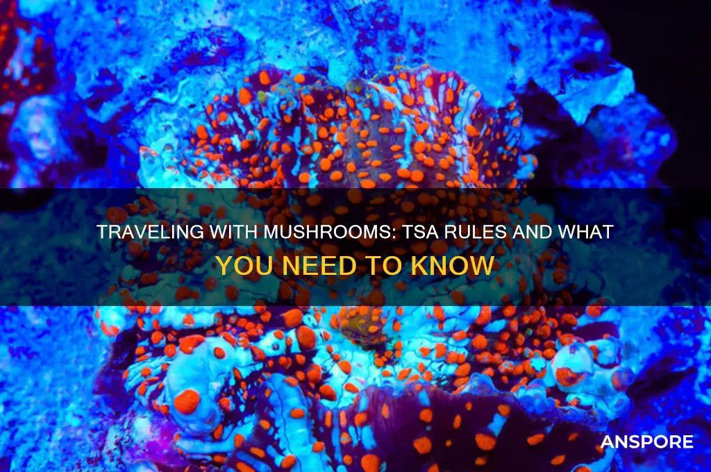 can you take mushrooms through tsa
