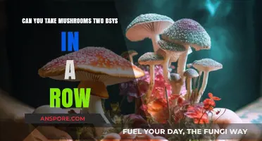 Taking Mushrooms Two Days in a Row: Risks and Considerations