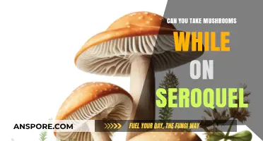 Mushrooms and Seroquel: Potential Risks and Interactions Explained