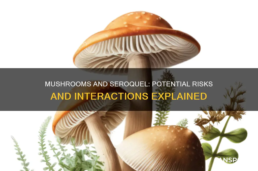 can you take mushrooms while on seroquel
