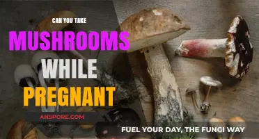 Pregnancy and Mushrooms: Safety Concerns and Risks Explained