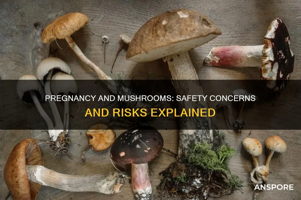 can you take mushrooms while pregnant