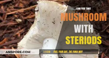 Mushrooms and Steroids: Potential Risks and Interactions Explained