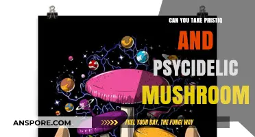 Pristiq and Psychedelic Mushrooms: Safe Combination or Risky Mix?