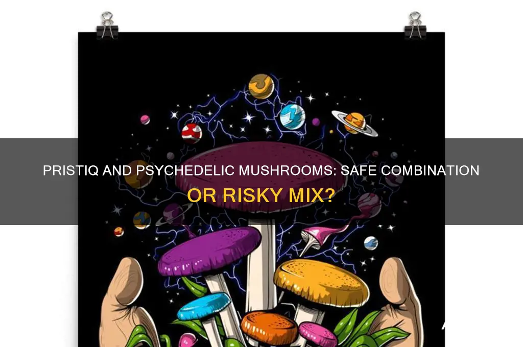 can you take pristiq and psycidelic mushrooms