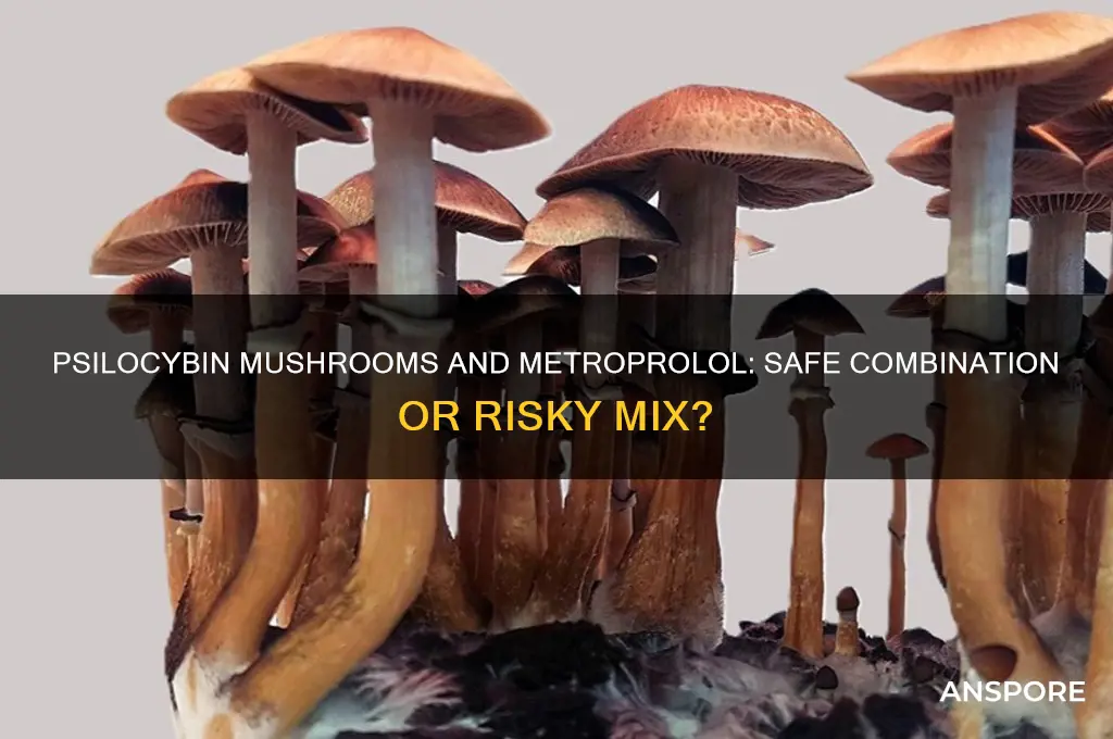 can you take psilocybin mushrooms on metroprolol