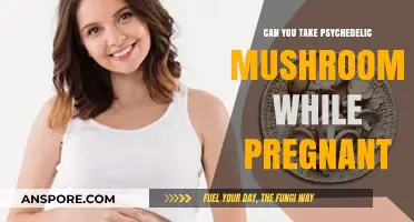 Pregnancy and Psychedelics: Risks of Mushrooms During Pregnancy Explored