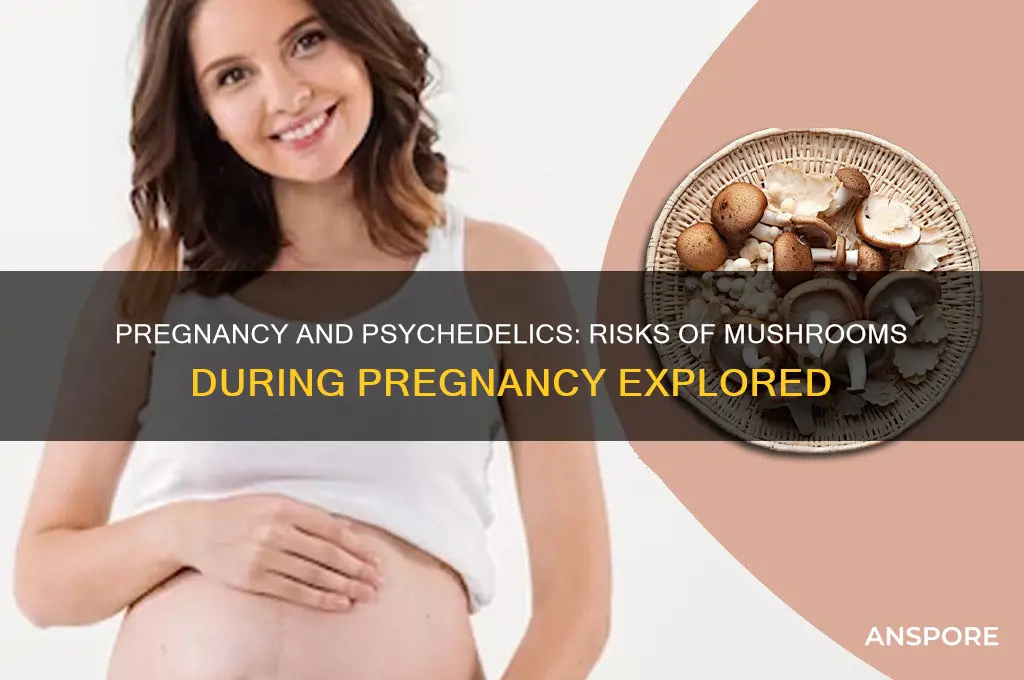 can you take psychedelic mushrooms while pregnant
