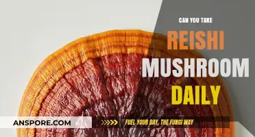 Daily Reishi Mushroom Use: Benefits, Safety, and Optimal Dosage Guide