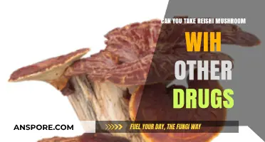 Reishi Mushroom and Medications: Safe Combinations or Risky Interactions?