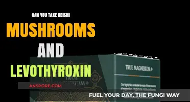Reishi Mushrooms and Levothyroxine: Safe Combination or Risky Interaction?