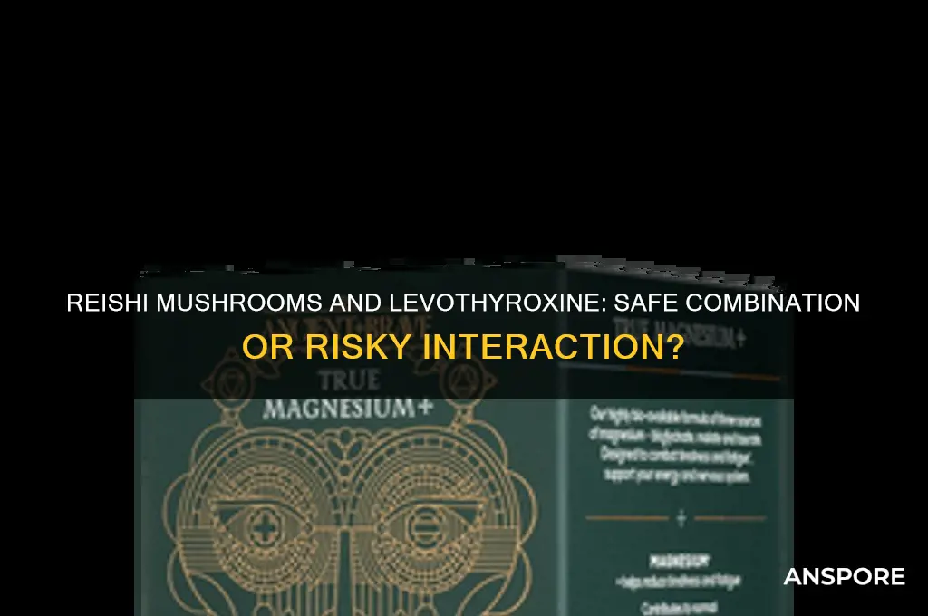can you take reishi mushrooms and levothyroxin