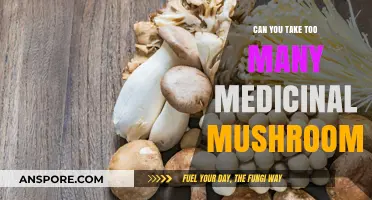 Medicinal Mushrooms: Balancing Benefits and Risks of Overconsumption