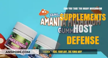 Mushroom Supplements: Balancing Benefits and Risks of Overconsumption