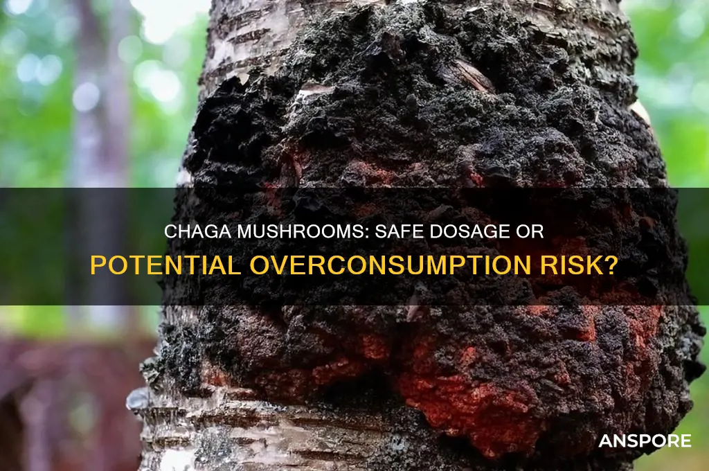 can you take too much chaga mushrooms