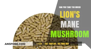 Lion's Mane Mushroom Dosage: How Much is Too Much?
