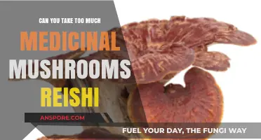 Reishi Overdose: Risks of Excessive Medicinal Mushroom Consumption Explained