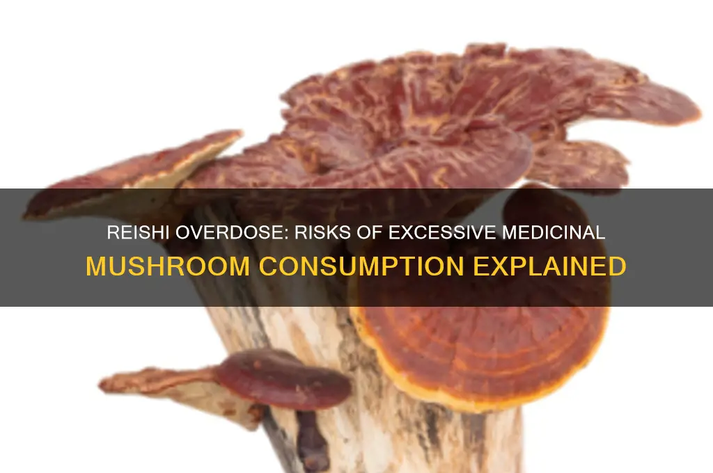 can you take too much medicinal mushrooms reishi