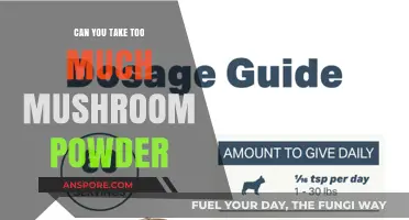Mushroom Powder Dosage: How Much is Too Much?