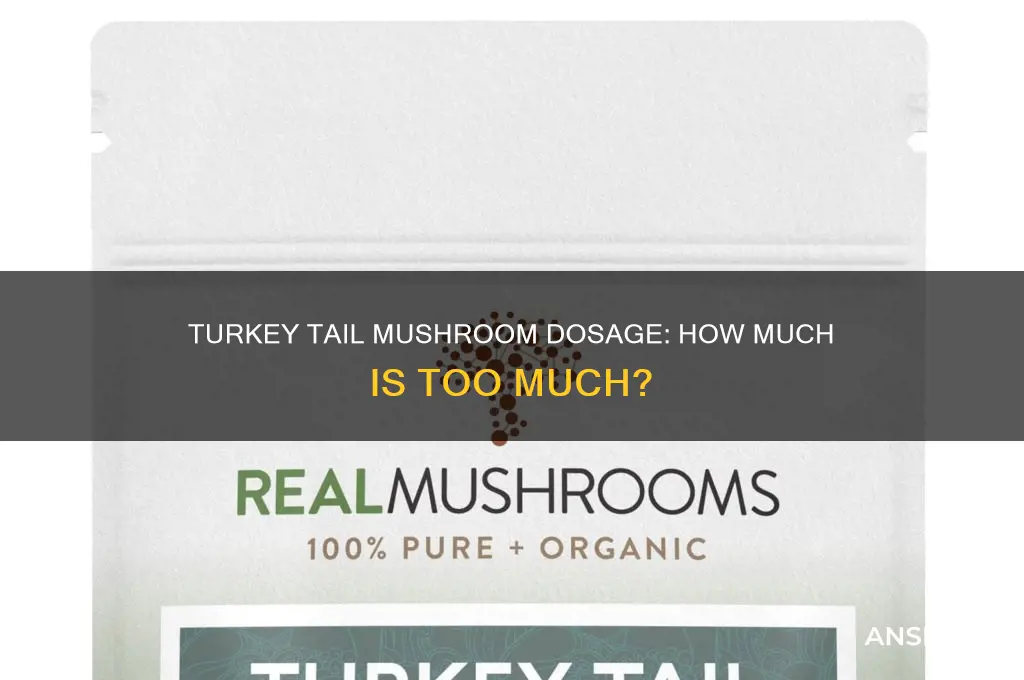can you take too much turkey tail mushroom