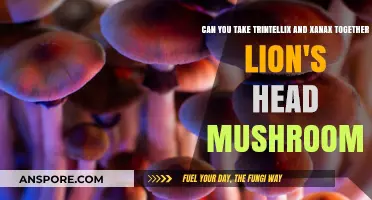 Trintellix, Xanax, and Lion's Head Mushrooms: Safe Combination?