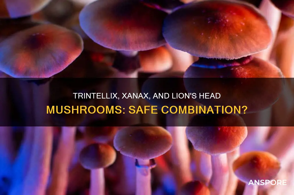 can you take trintellix and xanax together lion