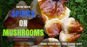 Exploring Spiritual Connections: Can Mushrooms Facilitate Conversations with Spirits?