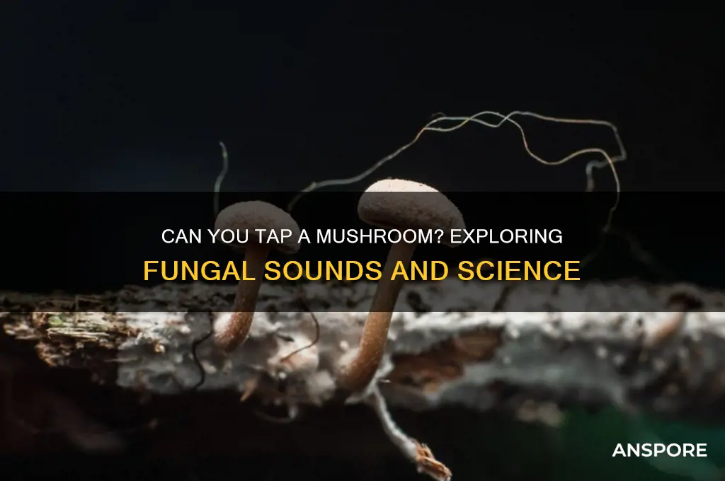 can you tap a mushroom