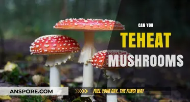 Can You Teach Mushrooms? Unveiling the Secrets of Fungal Intelligence
