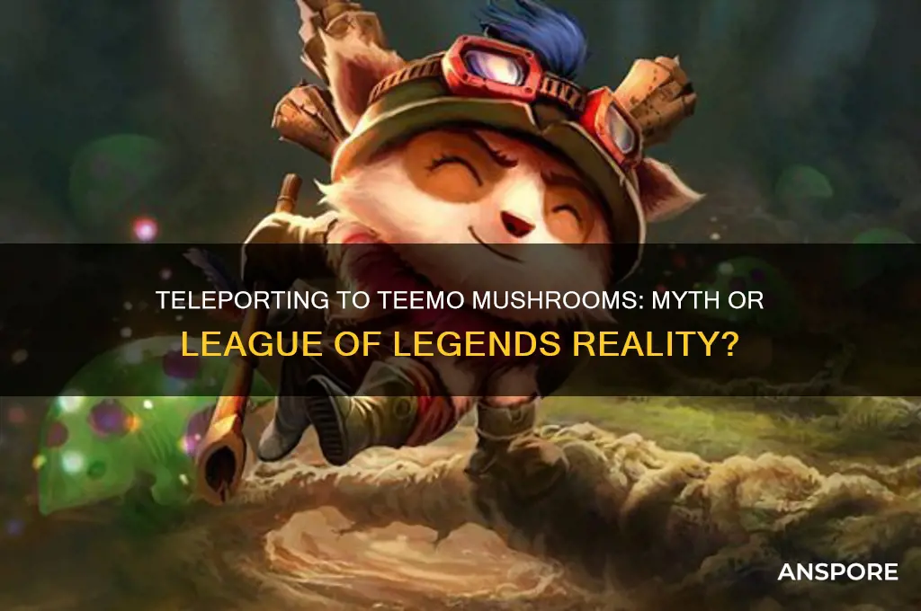can you teleport to teemo mushrooms