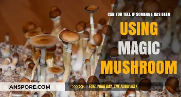 Spotting Magic Mushroom Use: Signs, Symptoms, and Behavioral Clues