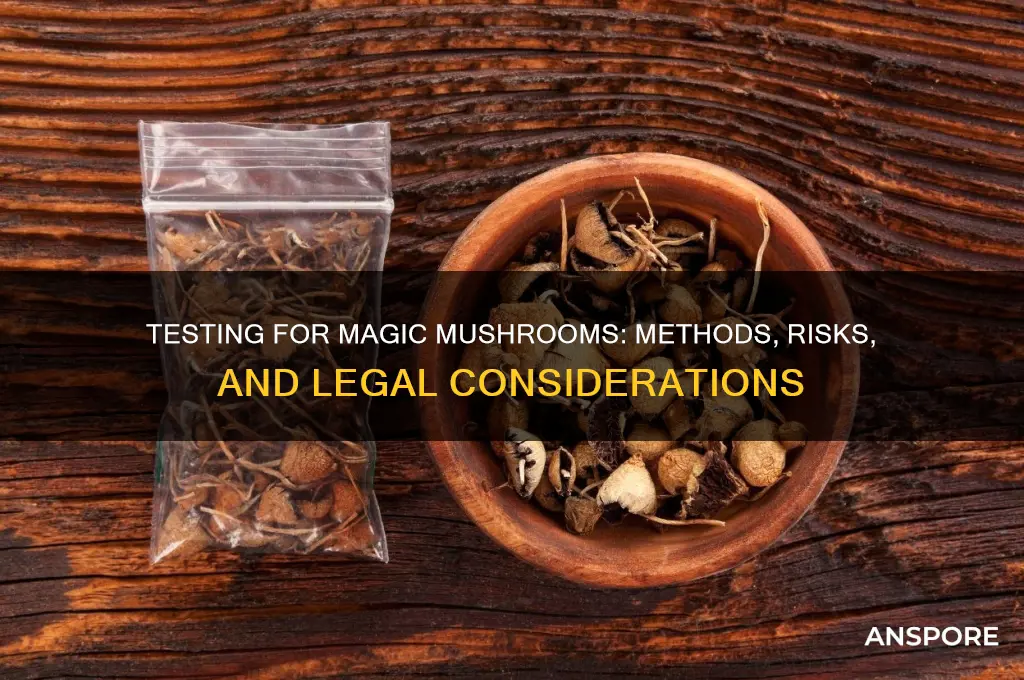 can you test for magic mushrooms
